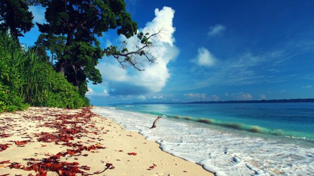 havelock-island-andaman