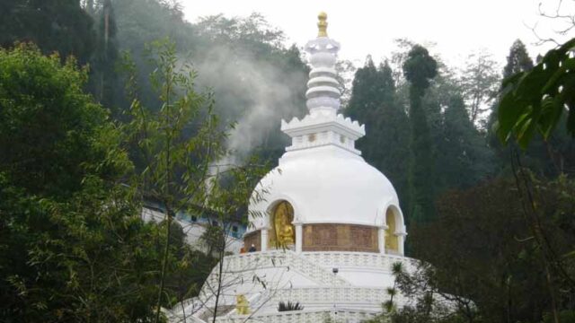 peace-pagoda-darjeeling