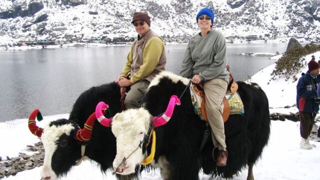 yak-rides-at-tsomgo-lake