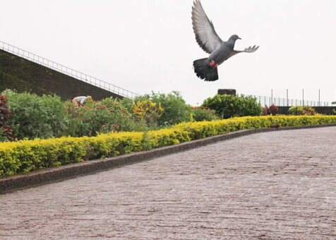 640px-Freedom_at_Bekal_Fort