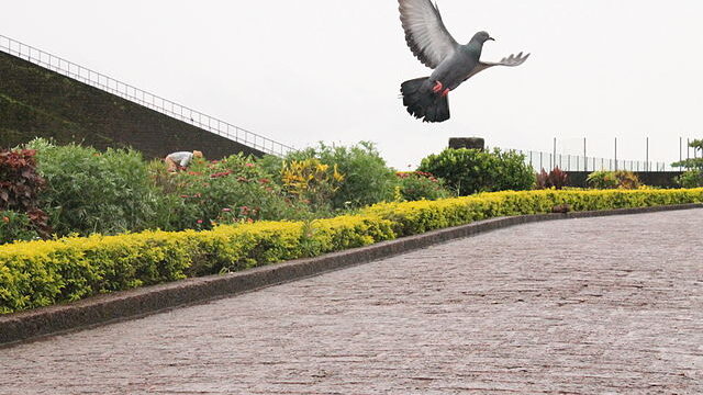 640px-Freedom_at_Bekal_Fort