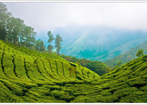 640px-Munnar_Top_station