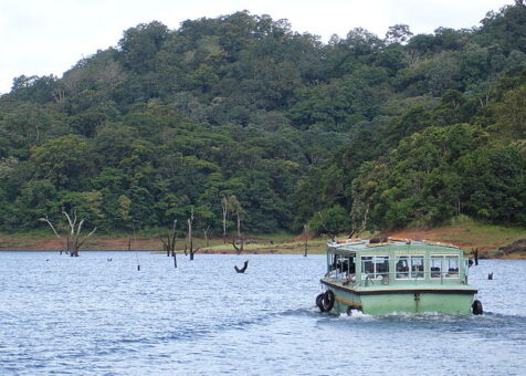 640px-Periyar_National_Park_-_2