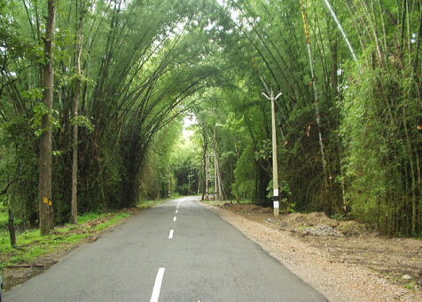 640px-Waynad_Bamboo_Road