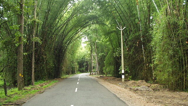 640px-Waynad_Bamboo_Road