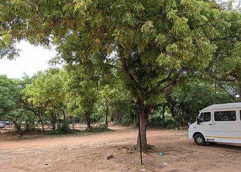 Auroville