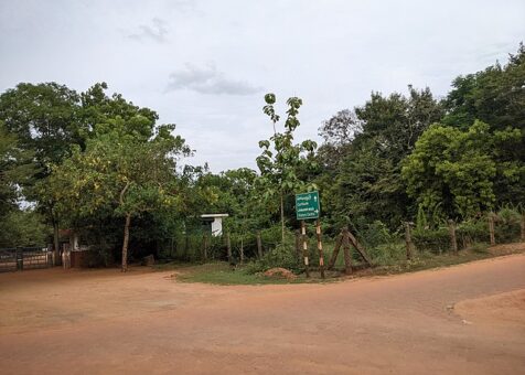 Auroville_campus_2K22TNKAN_(67)