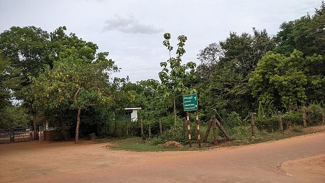 Auroville_campus_2K22TNKAN_(67)