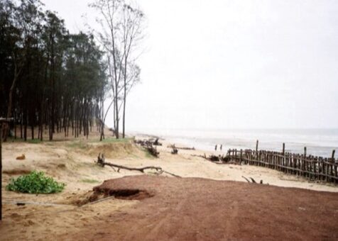 Digha_Beach_2