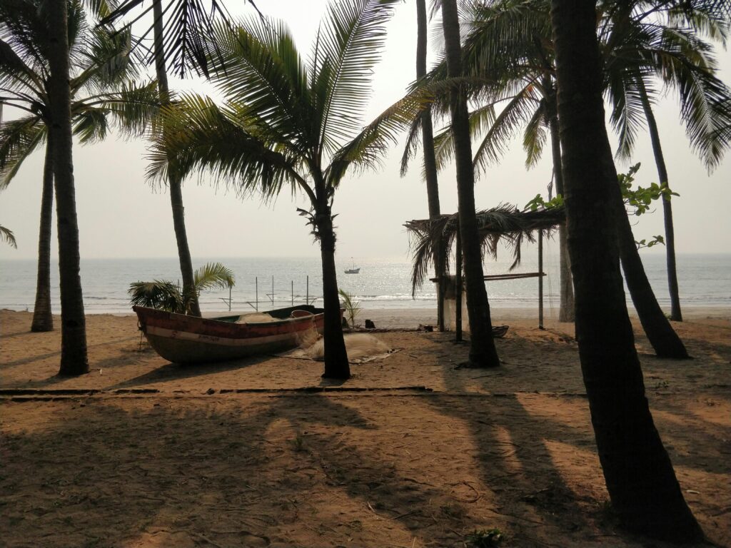 Serene beach setting in Alibag with palm trees and a wooden boat basking in the sunset.