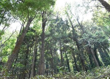 Araku Valley