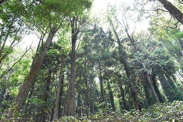 Araku Valley