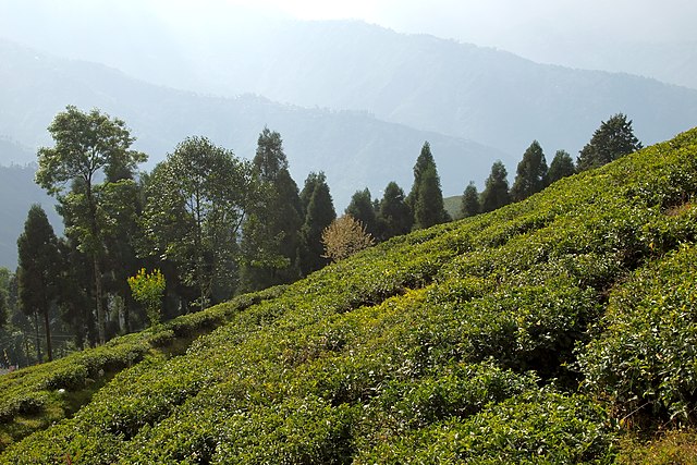 Hill Stations in India
