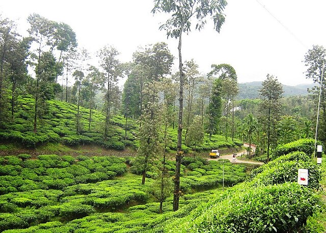 Kemmanagundi