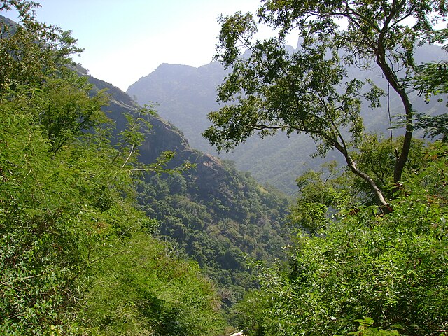 Kolli Hills