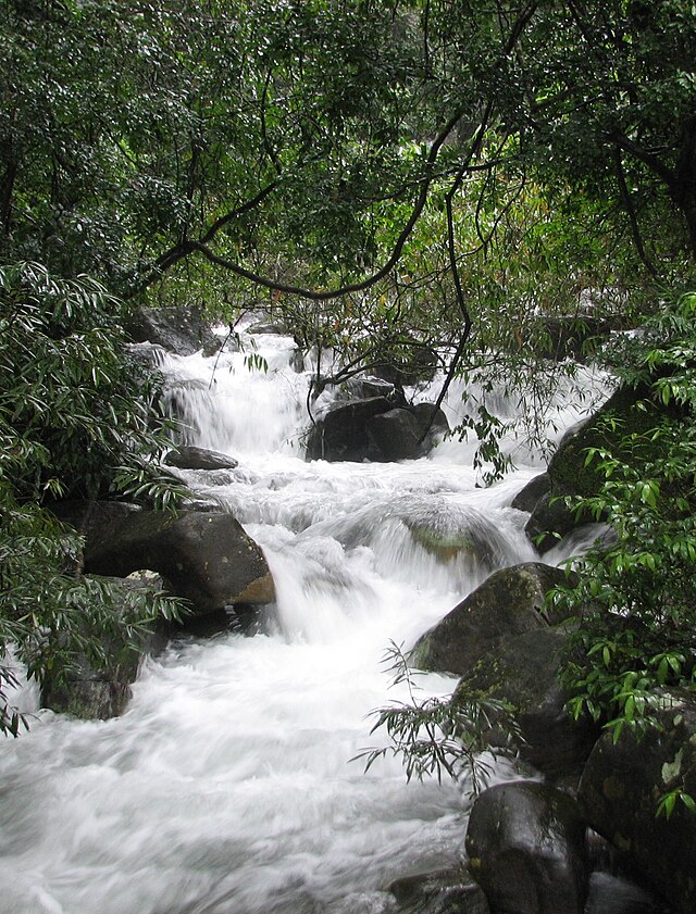 Vythiri