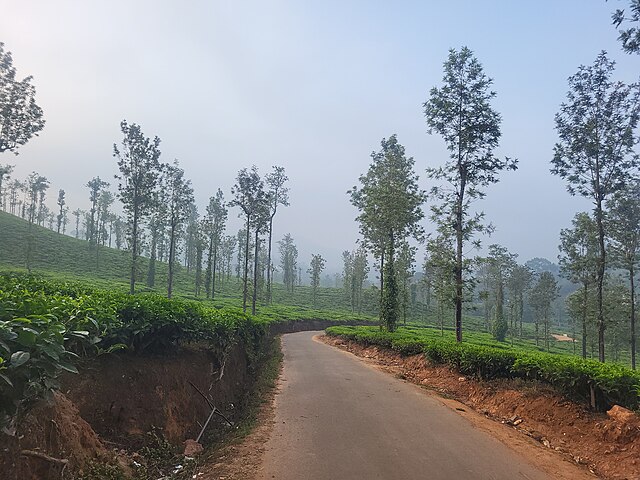 Vythiri
