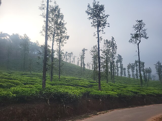 Vythiri